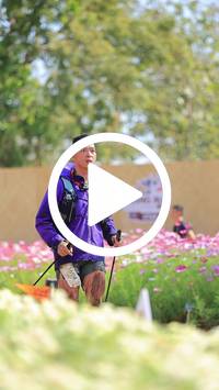 BIB:  <button type="button" onclick="openModal(27584839)" class="btn btn-primary btn-sm float-right" data-toggle="modal" data-target=".modal-high-quality">
                <i class="fa fa-download"></i> Download
                </button>